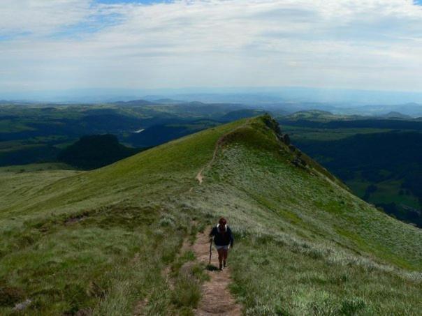 Nid Sous Le Volcan Saint-Sandoux ภายนอก รูปภาพ